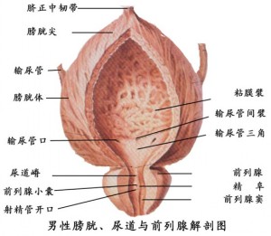 ǰôk